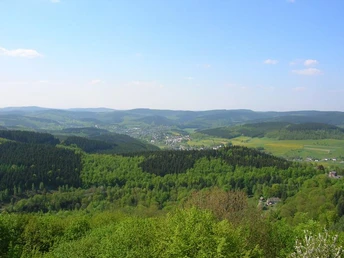 Blick von der Ginsburg