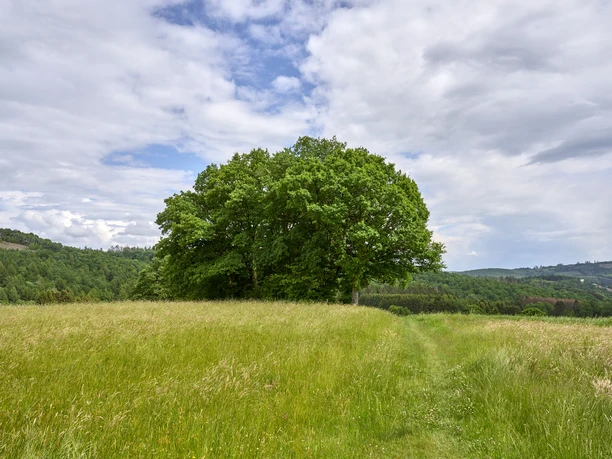 Blick von der Gedankenbank Müsen, Hilchenbach Gedankenbank Müsen, Hilchenbach
