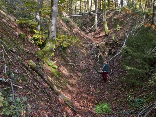 Hohlwege am Müsener Schlag