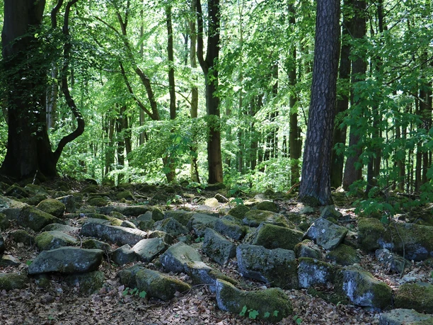 NSG Großer Stein