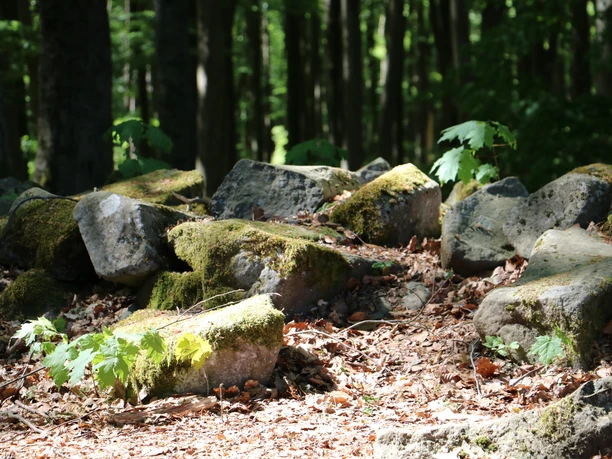 NSG Großer Stein