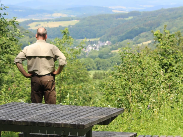 Vesperinsel am Höpches Hain
