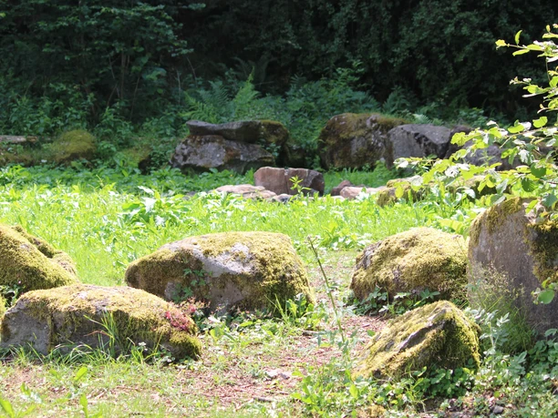 Rastplatz Höpches Hain