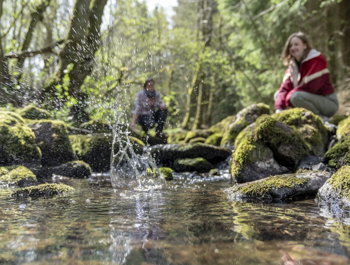 Am Ketzerbach am Dreiländereck Drei-Laender-Eck