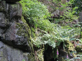 Felsformation Wildweiberhäuschen