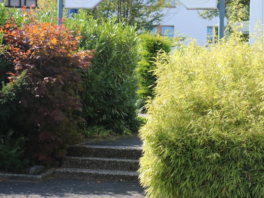 Eingang Resaturant vom Parkplatz Hickengrundhalle