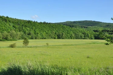 Naturschutzgebiet Wetterbachtal