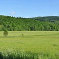 Naturschutzgebiet Wetterbachtal