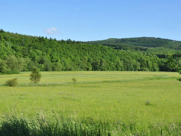 Naturschutzgebiet Wetterbachtal