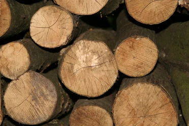 Holz als Baustoff