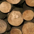 Holz als Baustoff