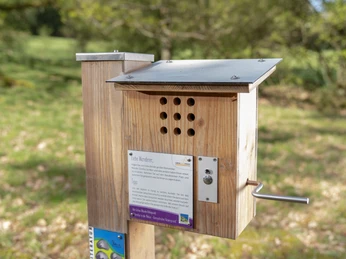 Hörstation Verbindungsweg Rothaarsteig-Spur Romantischer Hickengrund - Literatur in der Natur Drei Buchen