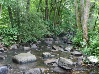 Wasserort Wetterbach