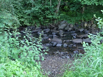 Gewässerort Wetterbachtal