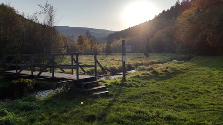 Brücke Unteres Buchhellertal