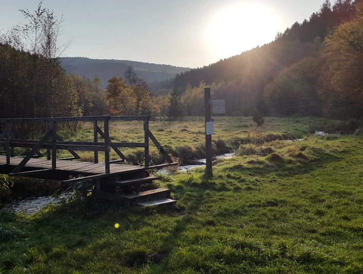 Brücke Unteres Buchhellertal