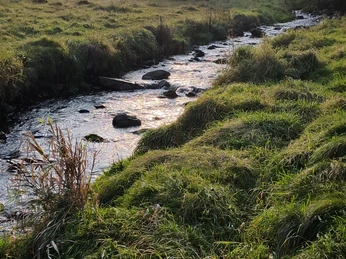 Unteres Buchhellertal