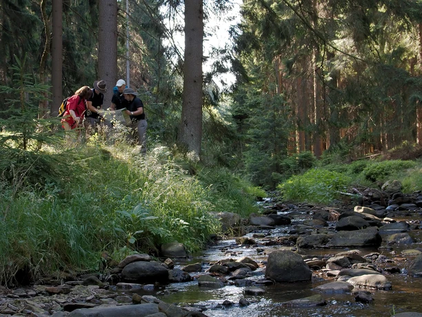 Buchhellertal