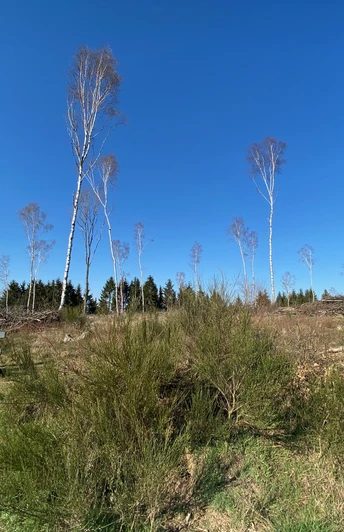 Sitzmöglichkeit mit Ausblick