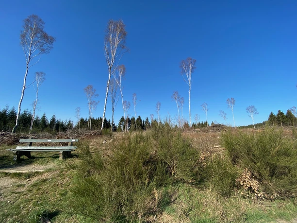 Sitzmöglichkeit mit Ausblick