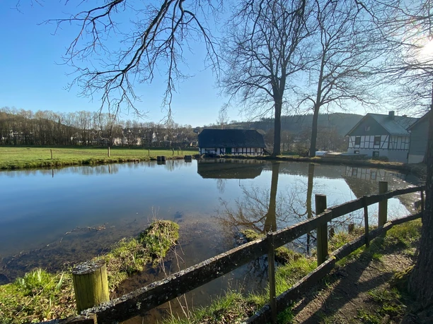 Alte Mühle Niederdielfen