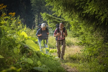 Wandern auf der Tiefenrother Hoehe Wandern auf der Tiefenrother Hoehe