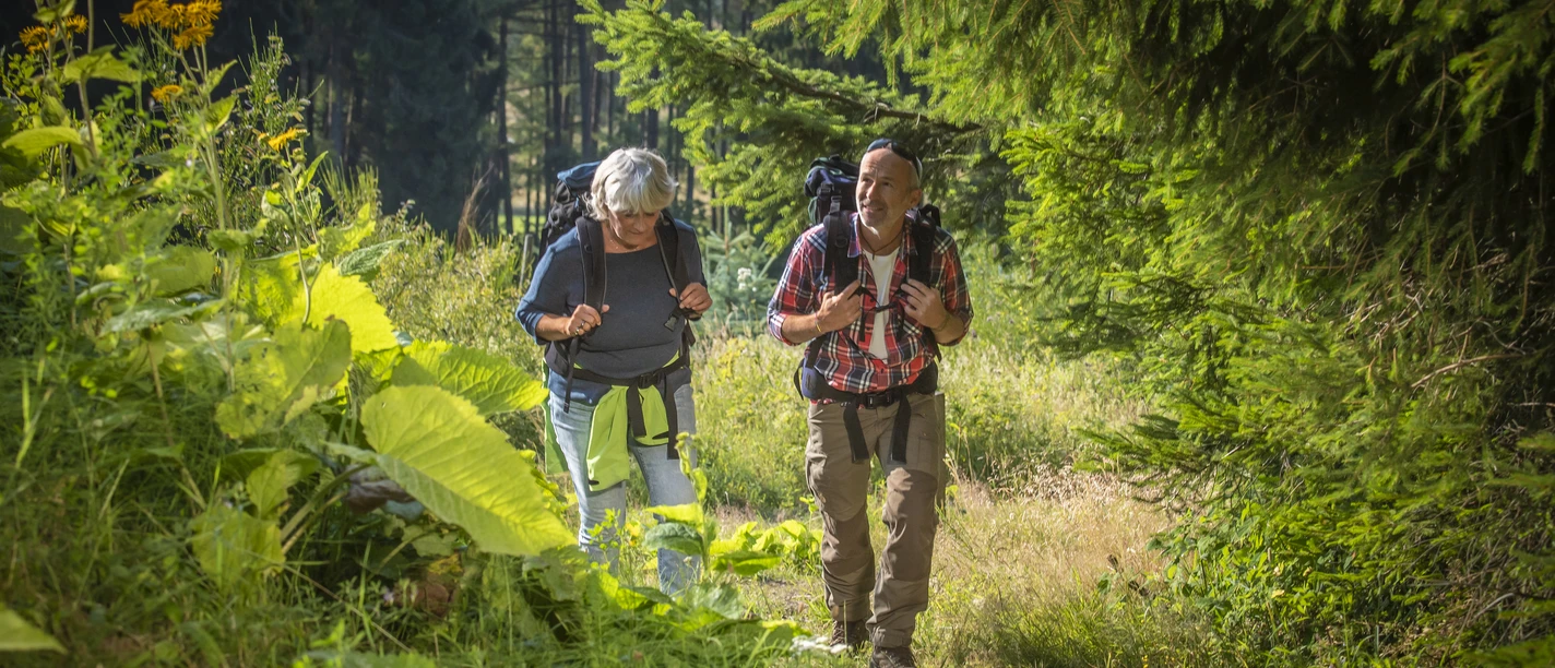 Wandern auf der Tiefenrother Hoehe Wandern auf der Tiefenrother Hoehe