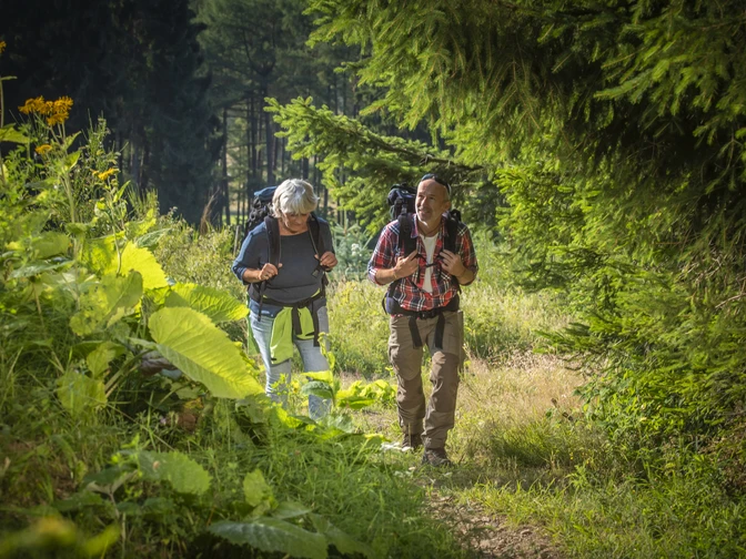 Wandern auf der Tiefenrother Hoehe Wandern auf der Tiefenrother Hoehe