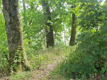 Einstieg Rundwanderweg mit Beschilderung