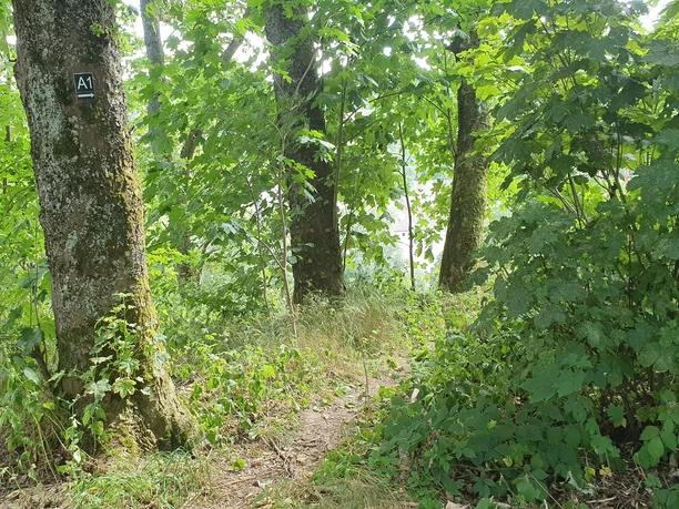 Einstieg Rundwanderweg mit Beschilderung