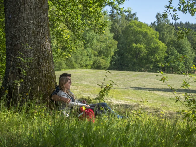 Ruhepause an den Gernsdorfer Weidekämpen Entspannen in den Gernsdorfer Weidekaempen