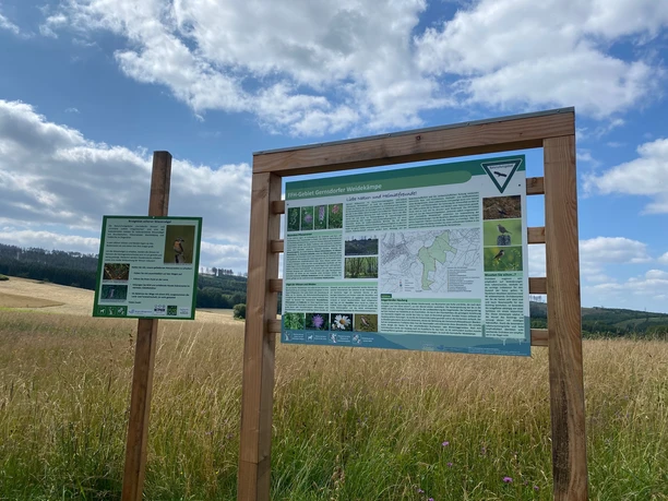 Infotafel Gernsdorfer Weidekämpe