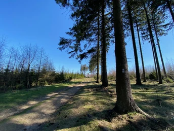 A1 Richtung Kalteiche