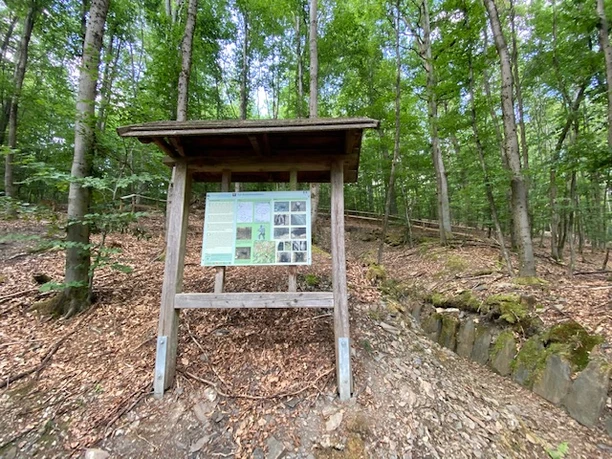 Infotafel am Gestellsteinstollen