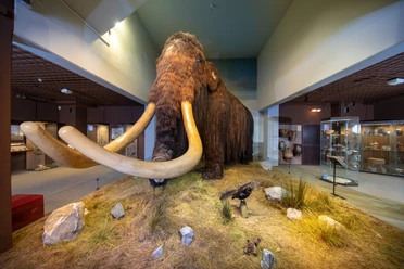 Mammut