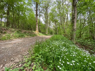 A4 Rudersdorf