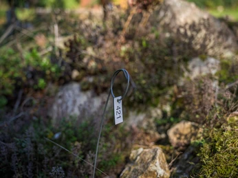 Natur- und Skulpturenpark Wilnsdorf-Obersdorf Natur- und Skulturenpark NaKuMe