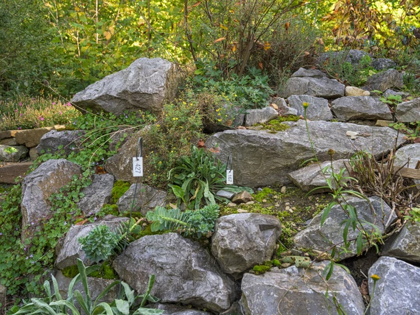 Natur- und Skulpturenpark Wilnsdorf-Obersdorf Natur- und Skulturenpark NaKuMe