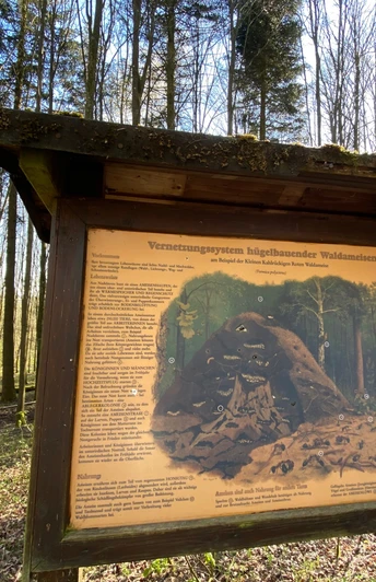Infoschild am Obersdorfer Rundweg