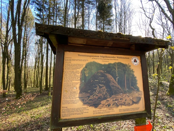 Infoschild am Obersdorfer Rundweg