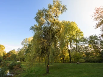Naturbadeweiher Holzhausen, Burbach Naturbadeweiher