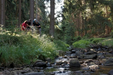 Unteres Buchhellertal, Nähe Wanderparkplatz