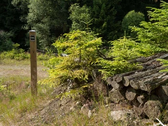 Immer gut markiert: Der Trödelsteinpfad
