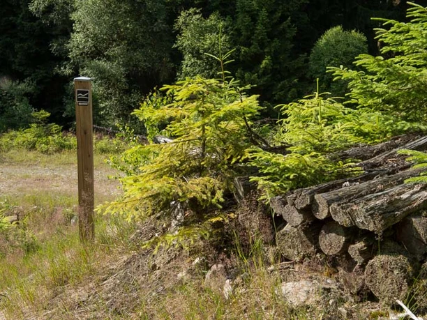 Immer gut markiert: Der Trödelsteinpfad