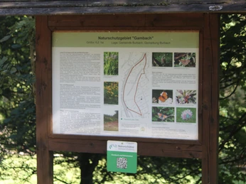 Infotafel Wanderparkplatz NSG Gambach