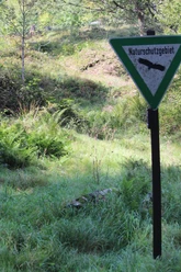 Alte Mainzer Landstraße am Naturschutzgebiet Wacholderheide Gambach
