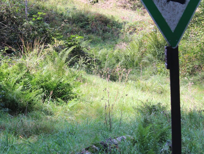 Alte Mainzer Landstraße am Naturschutzgebiet Wacholderheide Gambach