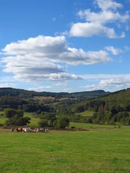 Gilsbachtal