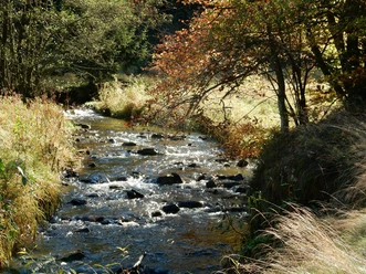 Gewässer