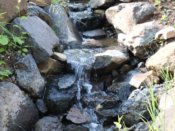 Bachlauf Alte Mühle